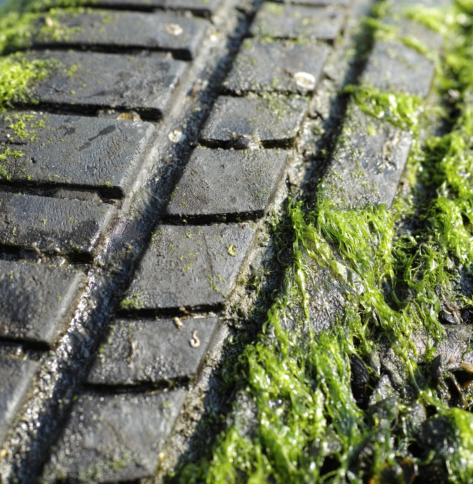 Consultancy and Project Support